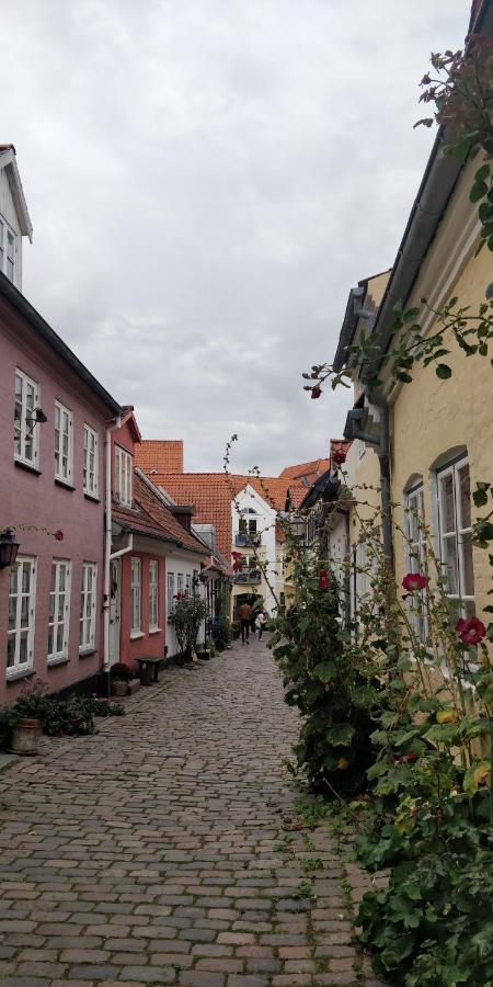 Apartment In The Heart Of Aalborg Exterior foto